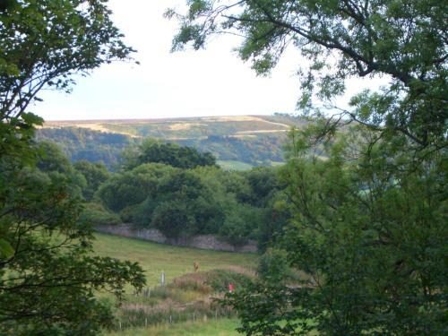 Bed & Breakfast Beechlands B & B