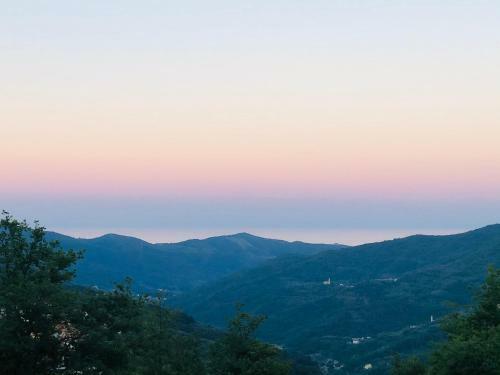 Apartamento Appartamento In Residence Nella Zona Incantevole