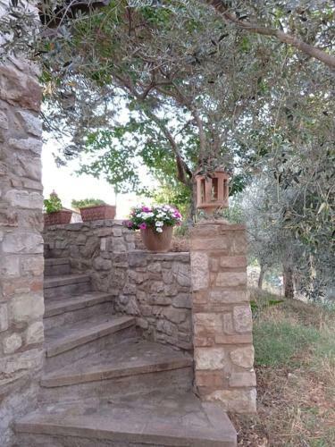 San Giorgio Casa Contadina