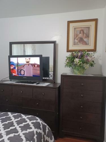 Apartamento Cheerful One Bedroom Studio With Free Parking/wifi