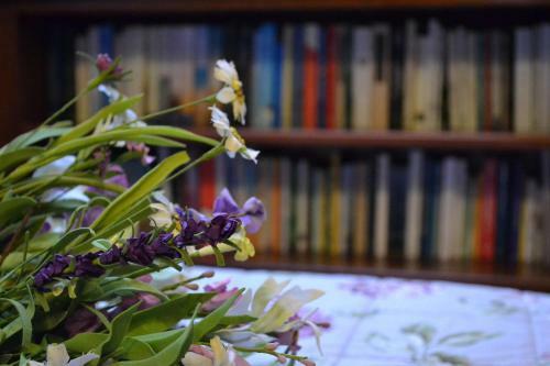 B&B Tre Foglie Di Pesco