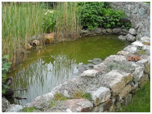 B&B Tre Foglie Di Pesco