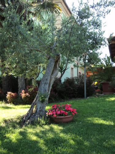 Agroturismo Villa Vetiche