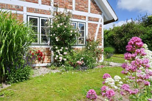 Apartamento Landhaus Vilmnitz - Wohnung 1