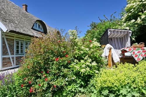Apartamento Landhaus Vilmnitz - Wohnung 9