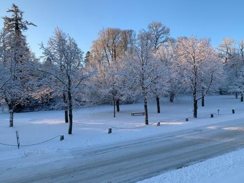 Hotel Residenz Putbus
