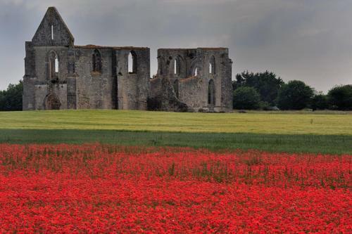 Les Voiliers/la Flotte En R�