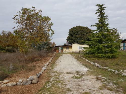 Chalet Di Montagna