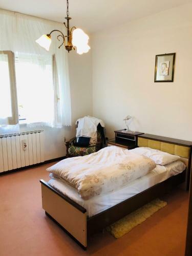 Bed & Breakfast Villa Bruno - With The Most Beautiful Balcony In Cilento