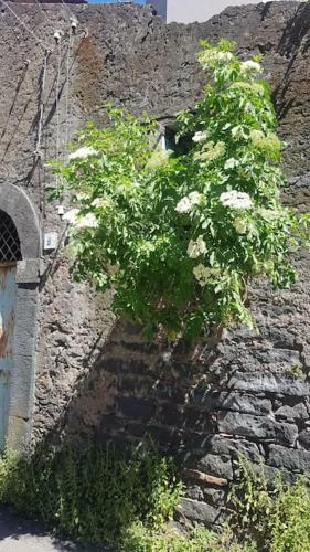 Apartamento Casetta Romantica Tra Etna E Mare