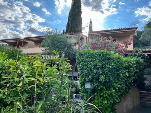 Apartamento Appartamento Chiara