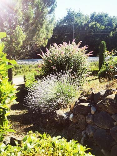 Bed & Breakfast Villa Boncompagni