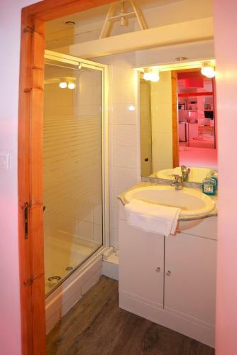 Apartamento Studio Sur Peniche, Le Cormoran, Bord de Saone A Lyon