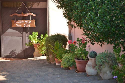 Agroturismo Agriturismo Il Laghetto