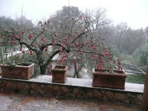 Il Bruco B&B
