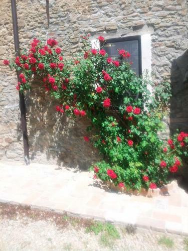 Agroturismo Agriturismo Mirasole