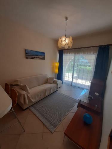 Apartamento 1bd In Palm Beach M1 With Pool