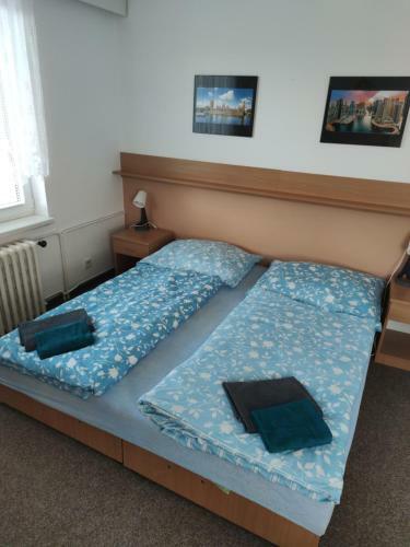 Hostal Penzion Vale?
