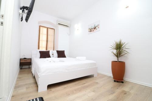 Bed & Breakfast Gaia