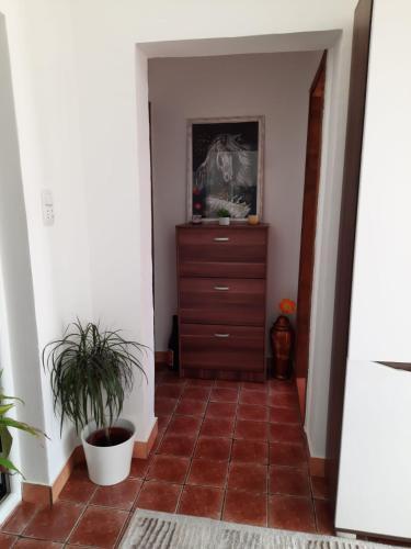 Apartman Jana