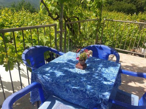 Mijailovic Apartmani