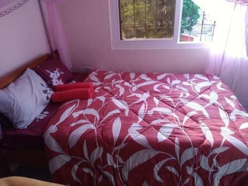 Edumosy Serviced Apartments