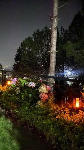 Nature's Lap Homestay