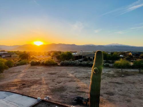 Serenity At Tonto Forest