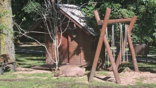 Chal� Rural Em Canela - Chal� Do Mato