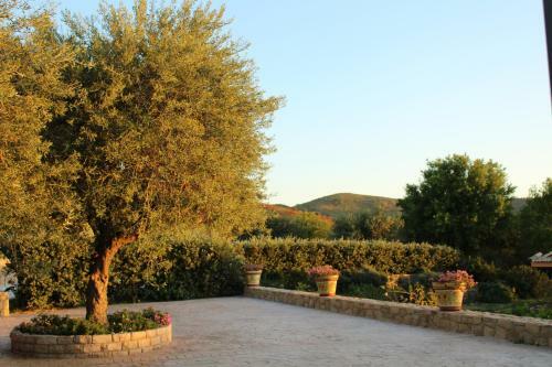 Villa Cattleya