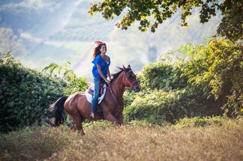 Agroturismo Rustico Del Conero