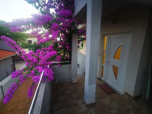 Apartman Filip Pula