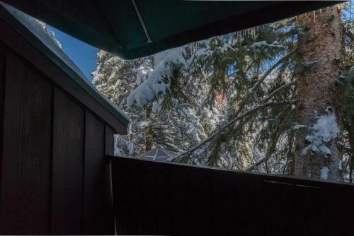 Hotel Manitou Lodge 11 By Alpine Lodging Telluride