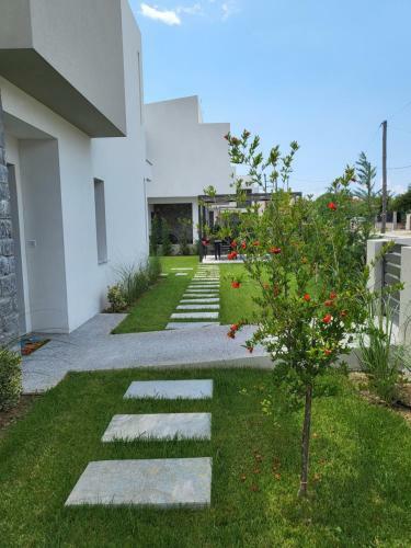 Olea Valley Holiday Villa