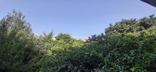 Apartamento Embassy Stay