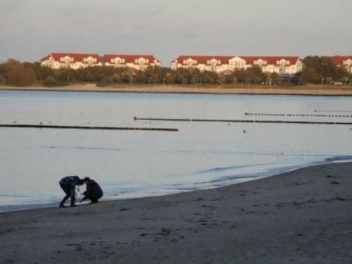 Ostseezauber - A69763