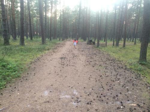 Zaciszny Domek Z Ogrodem Nad Morzem