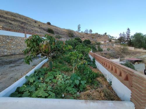 Cortijo La Yegua