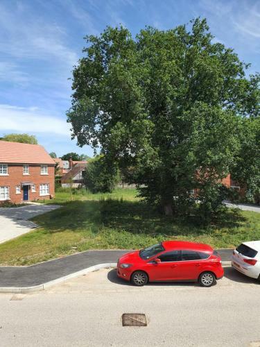 Cheerful 1bed Private Bath And Free Parking