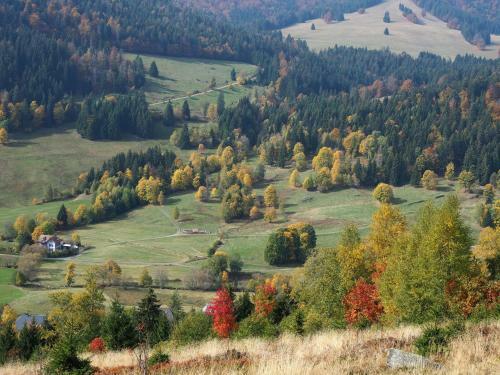 Apartamento B1 Schwarzwald-fewo An Der Alb