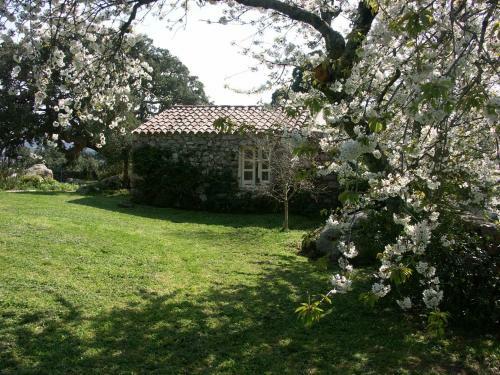 Agroturismo Li Pireddi