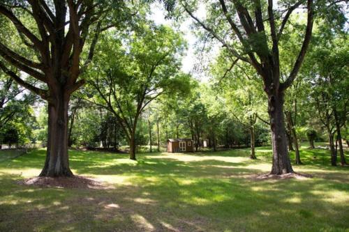 Charming 1960s Home Short Walk To Uptown Lightrail-unit 1