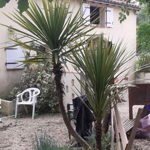 Les G�tes Du H�ron Cendr� Mimosas Et Amandiers