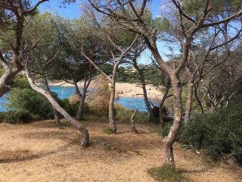 Apartamento Punta Prima