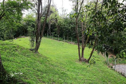 Bed & Breakfast Villa Silvia Olivetti