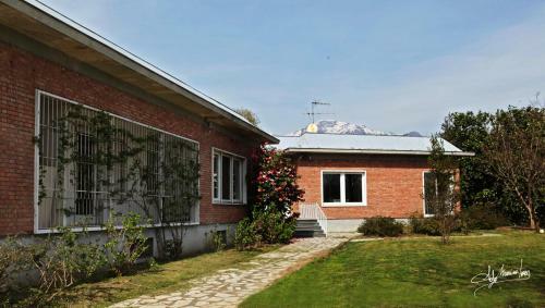 Bed & Breakfast Villa Silvia Olivetti