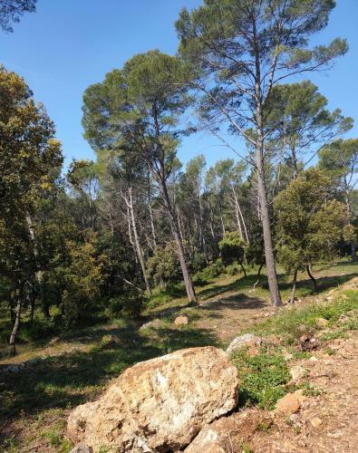 Bed & Breakfast Les Hauts Du Peireguier