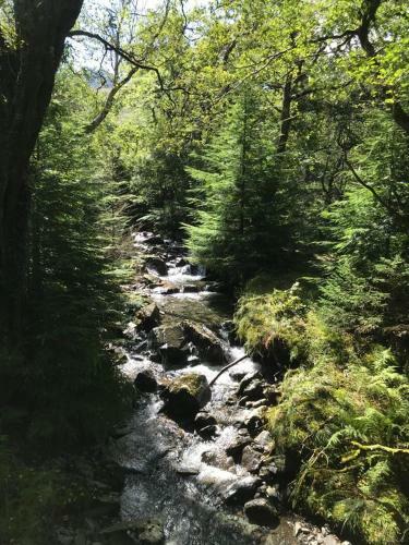 Snowdonia Forest Retreat