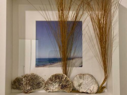 Apartamento Sonnenlounge