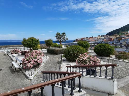 Apartamento Pirulana Bajo